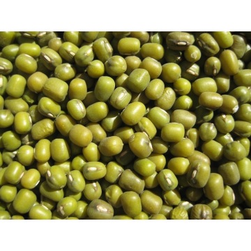 Mung Green Beans Non-GMO