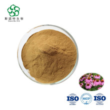 Wholesale Echinacea Purpurea Herbal Extract Powder