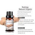 Best Price Pure Natural High Quality Nutmeg Essential Oil