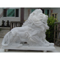 /msite/products/detail/productid/41514552/id/528441.html