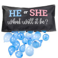 Baby Gender Reveal Balloon Drop Bag