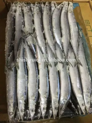 2016 High Quality Frozen Pacific Saury