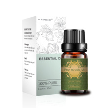 Bulk Pine needle essential oil for body care