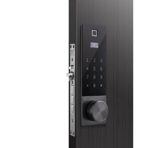 Keystless Entry Fingerabdruck Digital Smart Lock