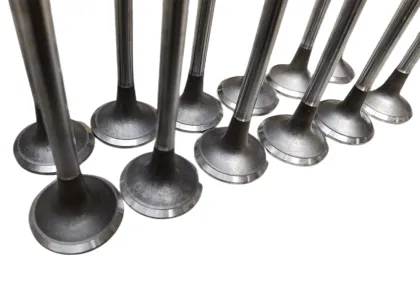 QSL9.3 Cummins Engine intake valves/exhaust valves