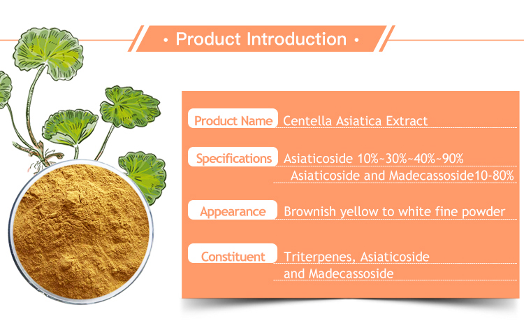 Centella Asiatica Extract