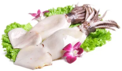 Whole Round Argentine Squid