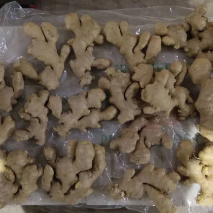 Fresh Organic Dry Ginger