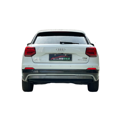 Electric car 5-seater Audi Q2L