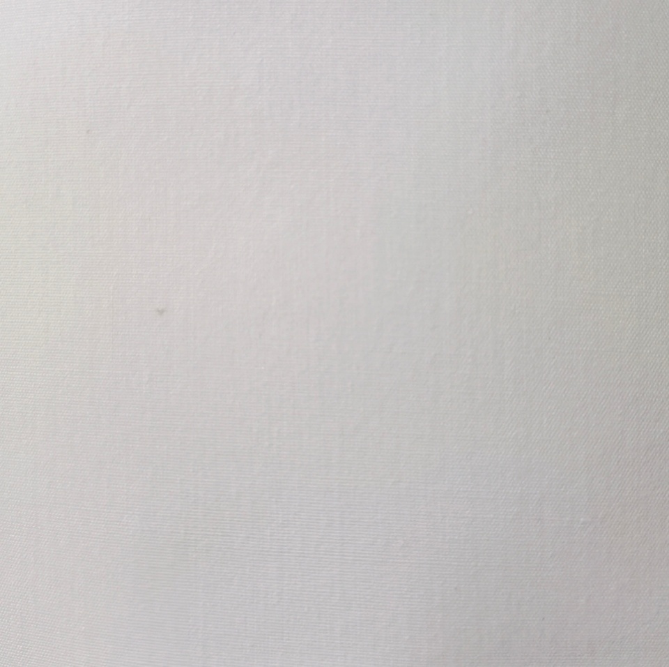 Plain greige fabric-960