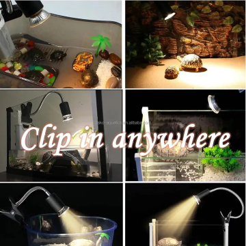 Clip de lampe UVB UVB UVB sur les lampes