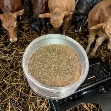 Glutamic Acid Residue Single Cell Protein Mycoprotein 70%