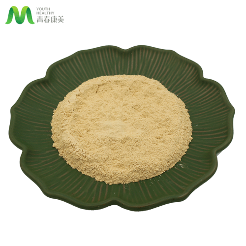 Astragalus Extract Powder Quality Guarantee Astragaloside IV Astragalus Root Extract Factory