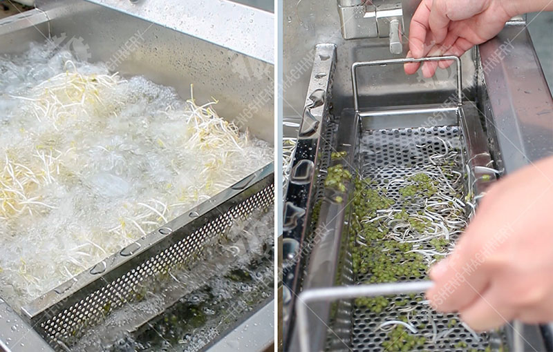 Commercial Automatic Vegetable Washer