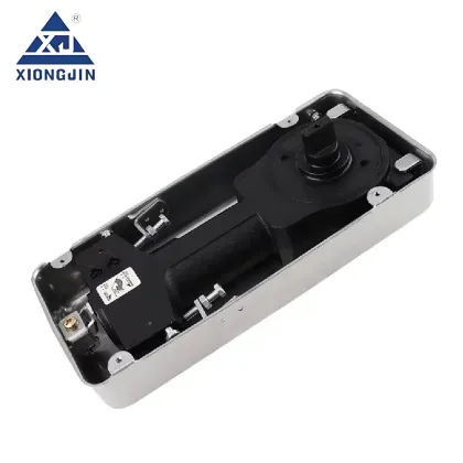 Stainless Pivot Door Floor Spring
