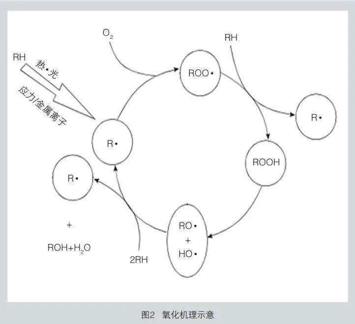 oxidation mechanism