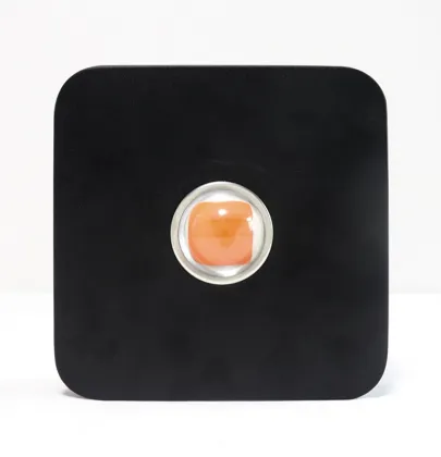 cob led grow journal 200w grow lights