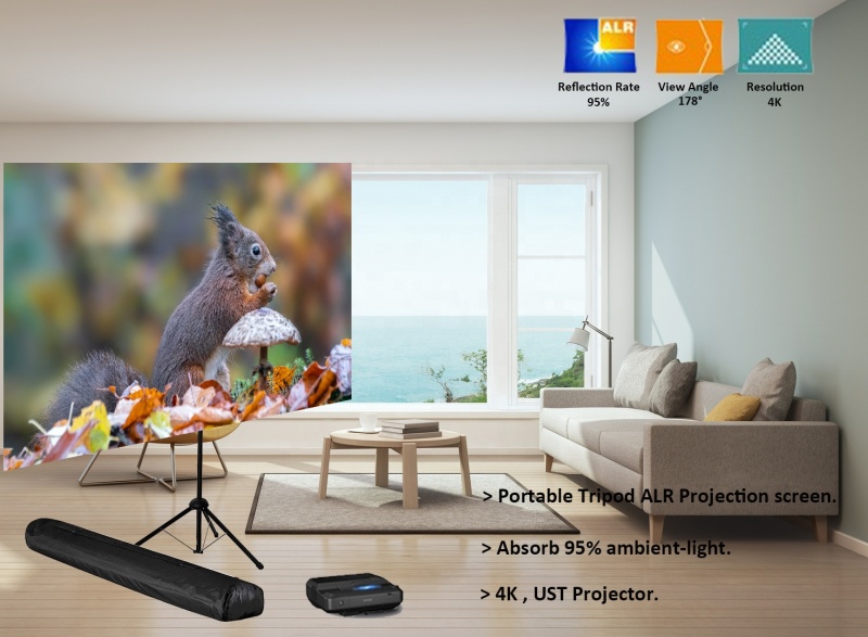 ALR Tripod 4K moive theater portable projector screen