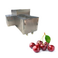 High Output Cherry Pitter Machine