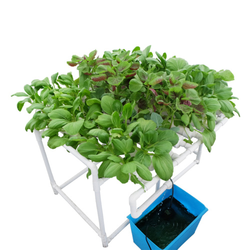 Garden Grow Kit Table Indoor Grow Hydrokultursystem