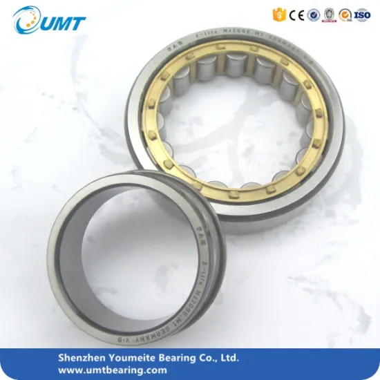 Cylindrical Roller Bearings NN3005 NN3006 NN3007 NU1004 NU1005 NU1006