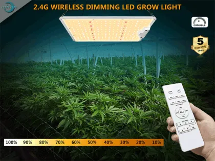 Vertical Garden Lighting 100W LED Plant Growth Lamp