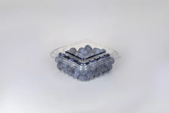 Raspberry Clamshell Packaging