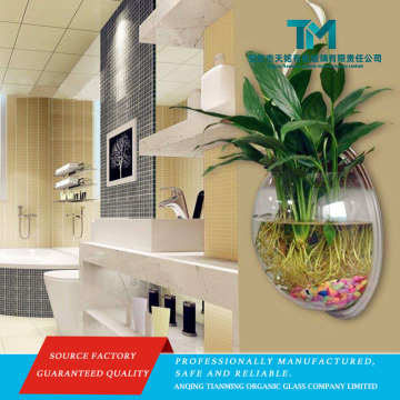 Elegant Clear Acrylic Pot with Fish Tank Design