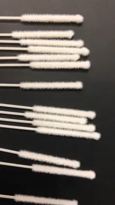 Sample Collection Flocked Swabs S