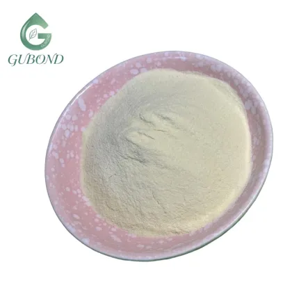 Sunflower Seed Protein for Commercial Food Manufacturing