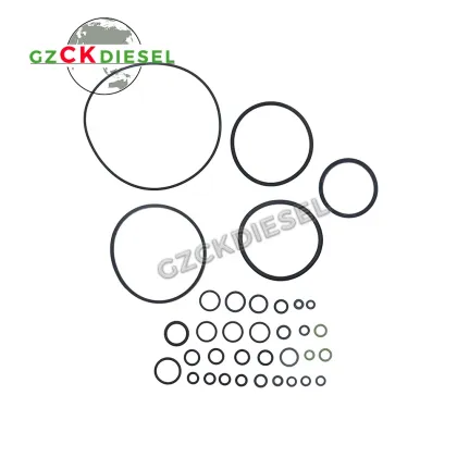 Del-Phi Repair Kit 891834-277A for Del-phi DP200 Pump Gasket Kit