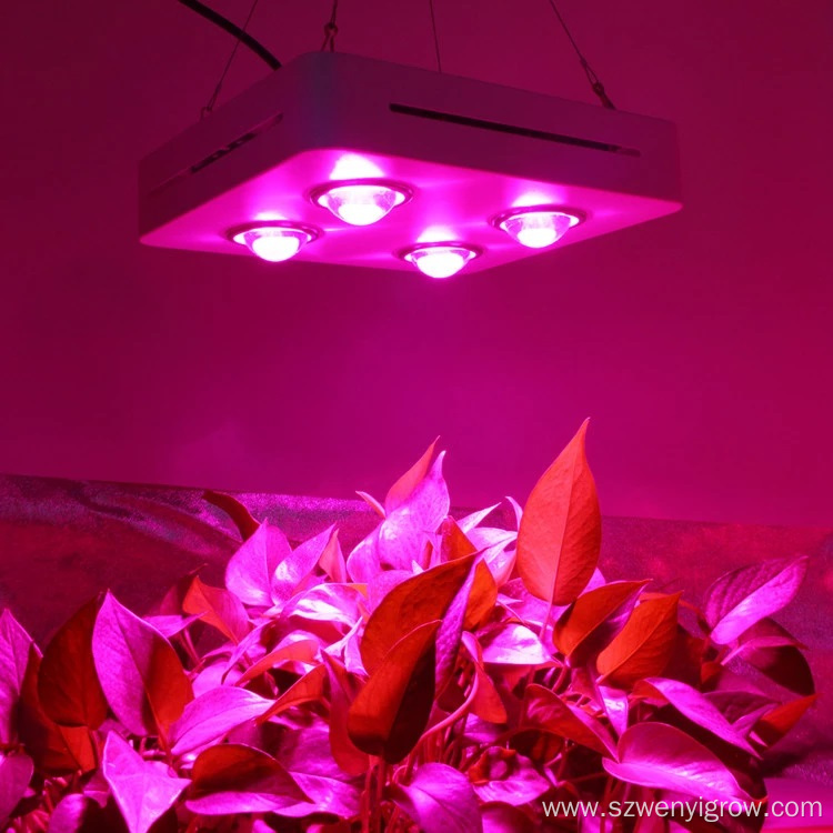 Best Cob LED Grow Light 400W