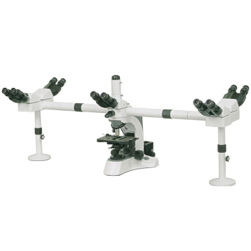 Boshida Multi-head Biological Microscope for Medical Research