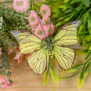 Butterfly craft decorations