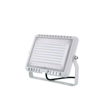 IP65 Luz de seguridad LED resistente a la intemperie al aire libre IP65