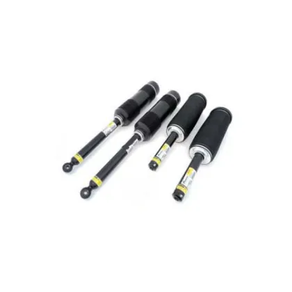 Low Price Shock Absorber W220-ARNOTT PART C-2242 Air Suspension