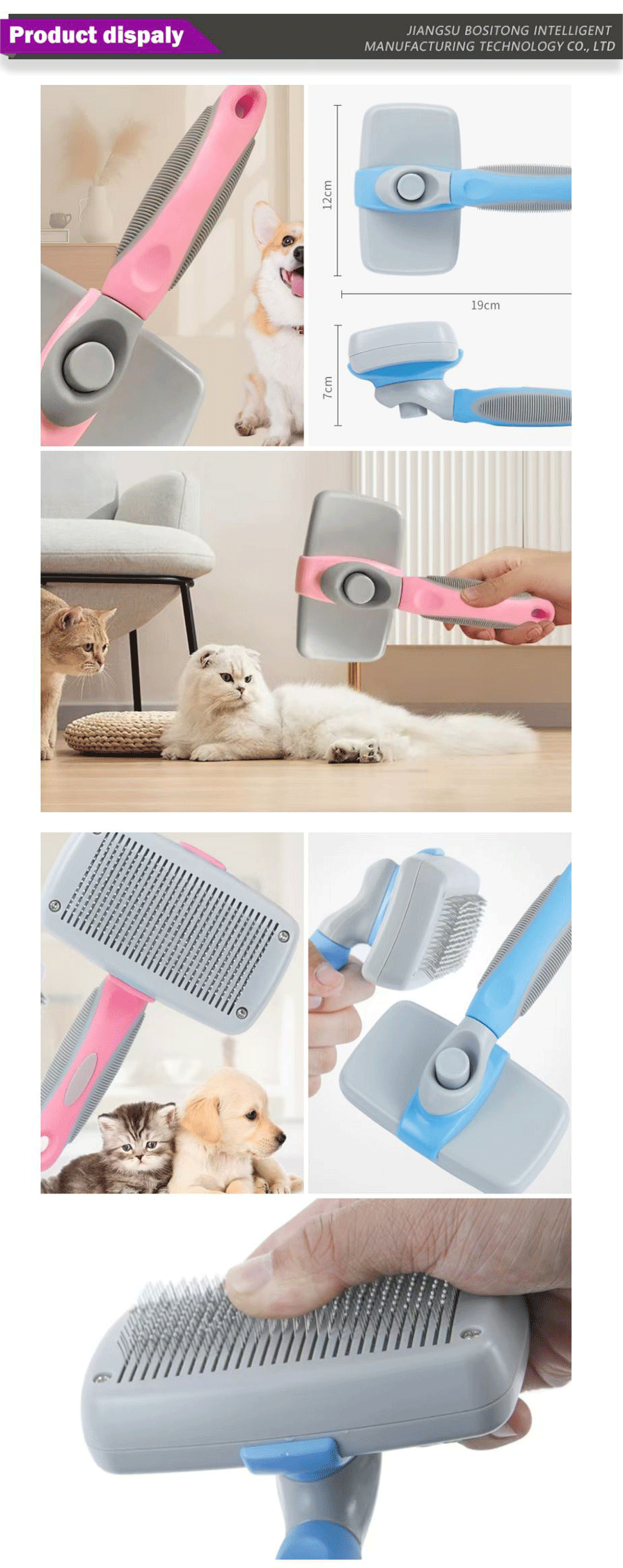Pet cleaning-xiangqing1-BST032