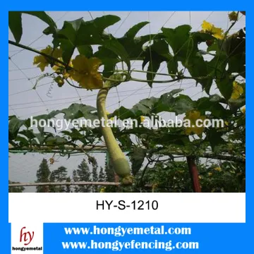 ISO Hdpe Anti-bird Net,Anti Bird Protection Net,Anti Bird Net