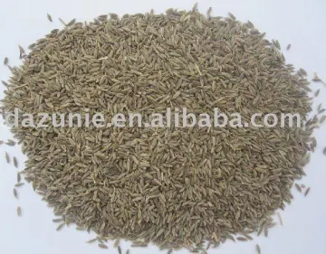 Cumin Seed