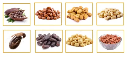 Cocoa Beans Peeling Machine: Cocoa Beans Peeler & Coffee Bean Peeling Machine
