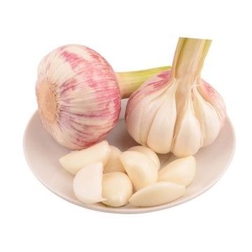 Neue Saison Chinease Fresh Knoblauch Vetetetable