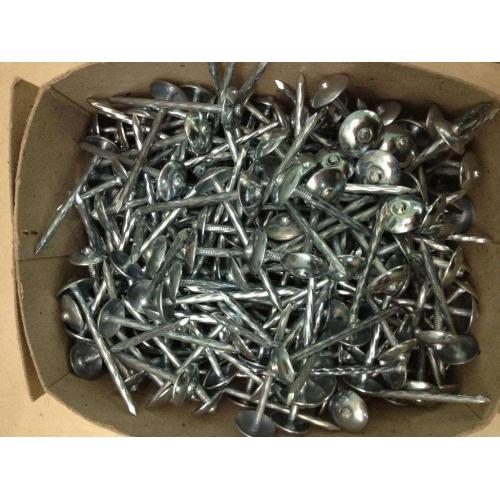 Best Plain Shank Umbrella Roofing Nails