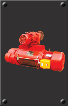 Electric chain hoist