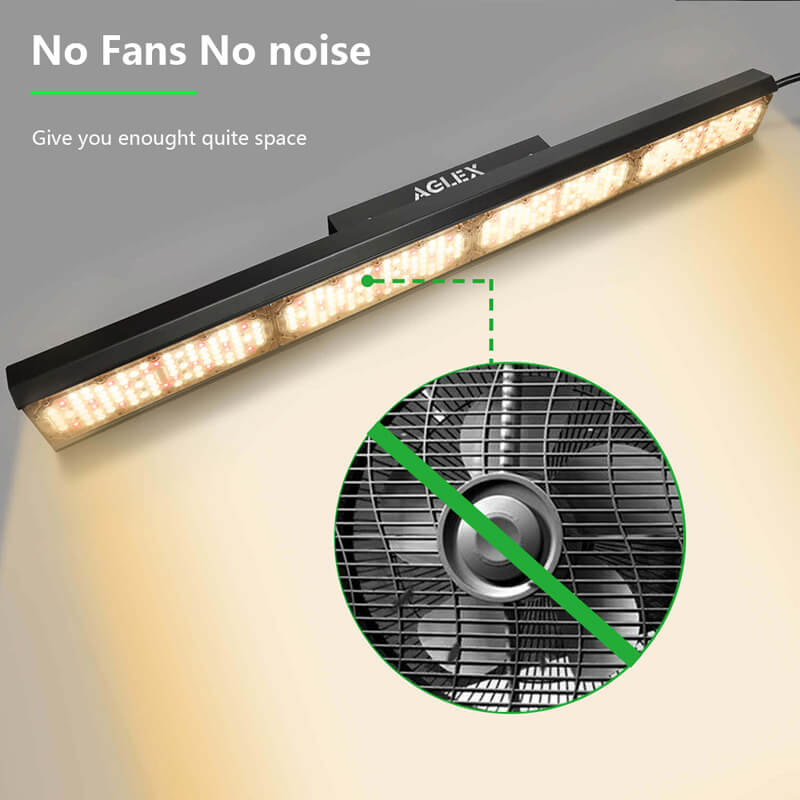 LED spydr trắng ấm trong nhà phát triển ánh sáng có thể điều chỉnh độ sáng