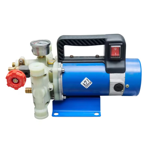 Pompe à piston agricole portable haute puissance 48 V 200 W