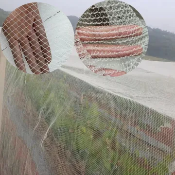HDPE Anti-Insect Mesh for Greenhouse - Hot Sale Insect Proof Screen Net