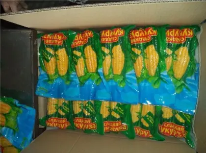 Fresh hotsale sweet corn two pcs together