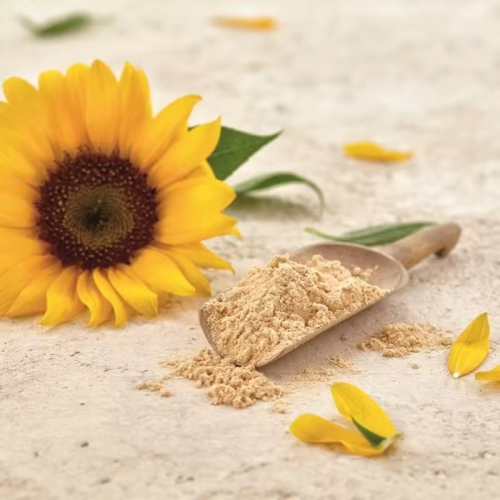Organic Sunflower Seed Protein