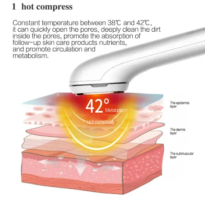 Face cold and hot compress device