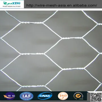 Chicken Wire / Poultry Wire/ Chicken Wire Mesh/ Anping Hexagonal Mesh for Chicken Coops